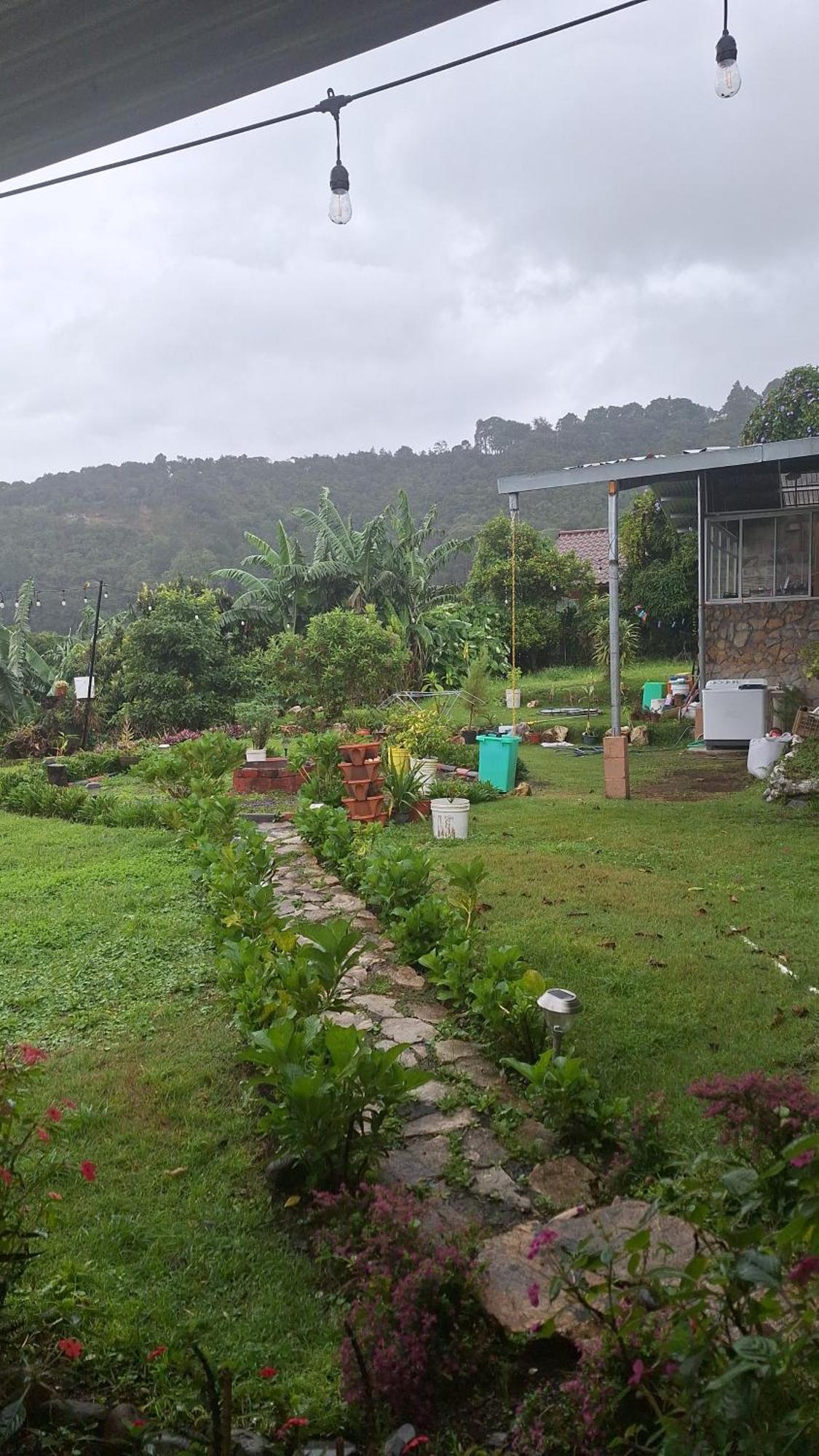 Hostal Vista Boquete Bajo Boquete Екстер'єр фото
