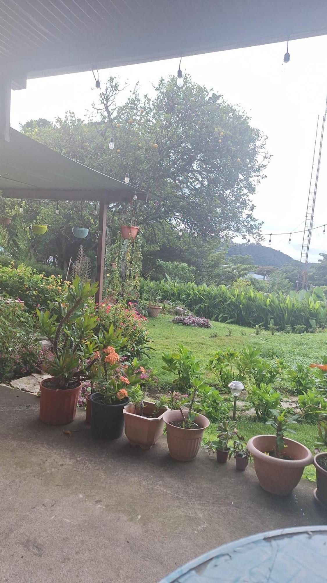 Hostal Vista Boquete Bajo Boquete Екстер'єр фото