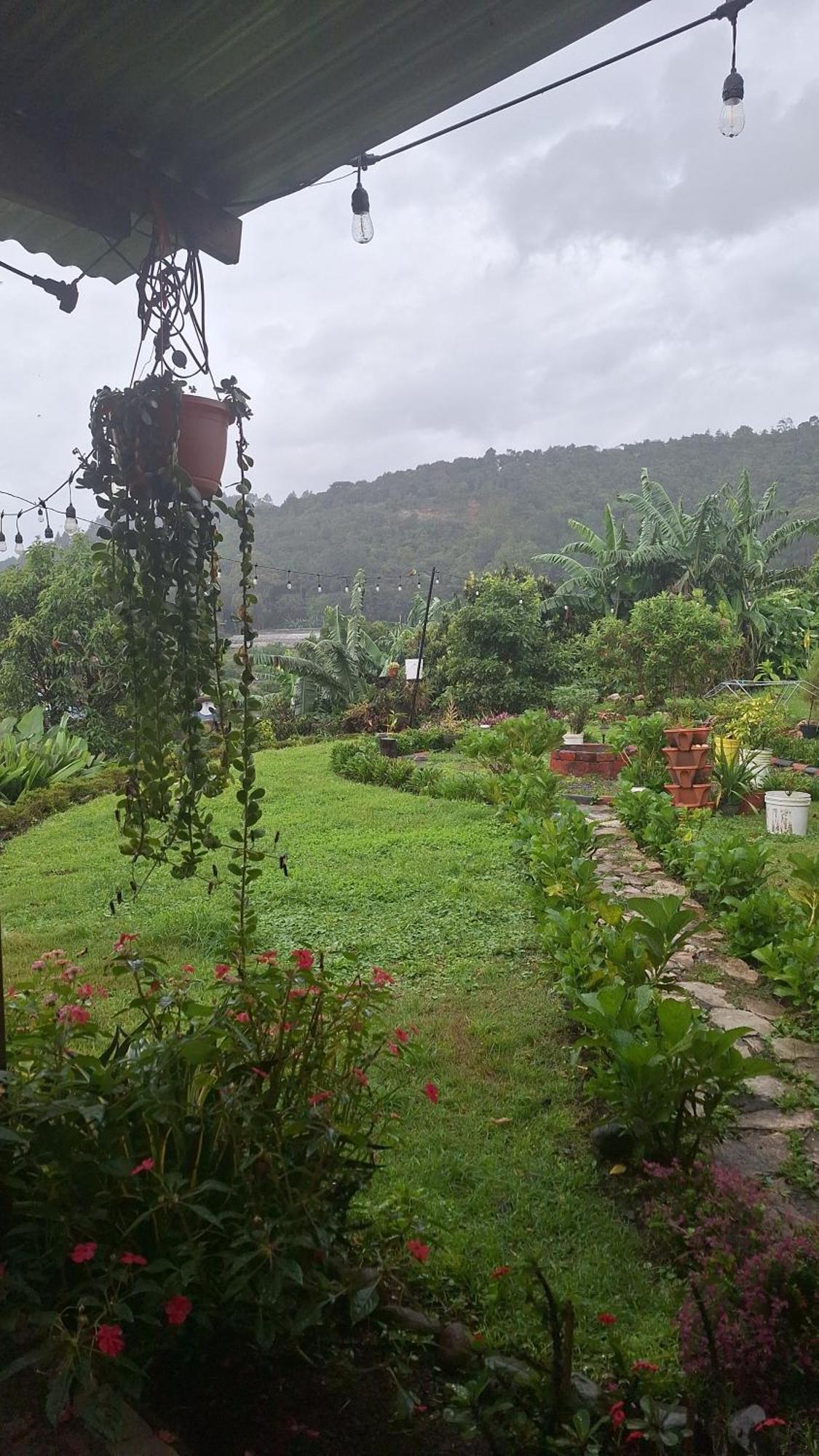 Hostal Vista Boquete Bajo Boquete Екстер'єр фото
