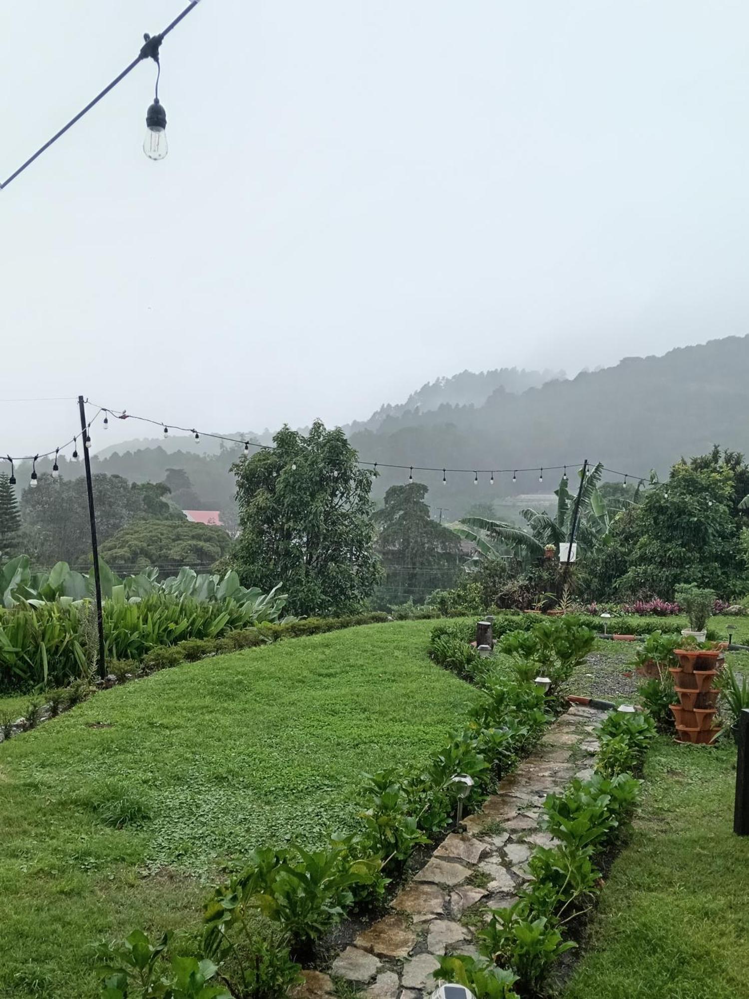 Hostal Vista Boquete Bajo Boquete Екстер'єр фото
