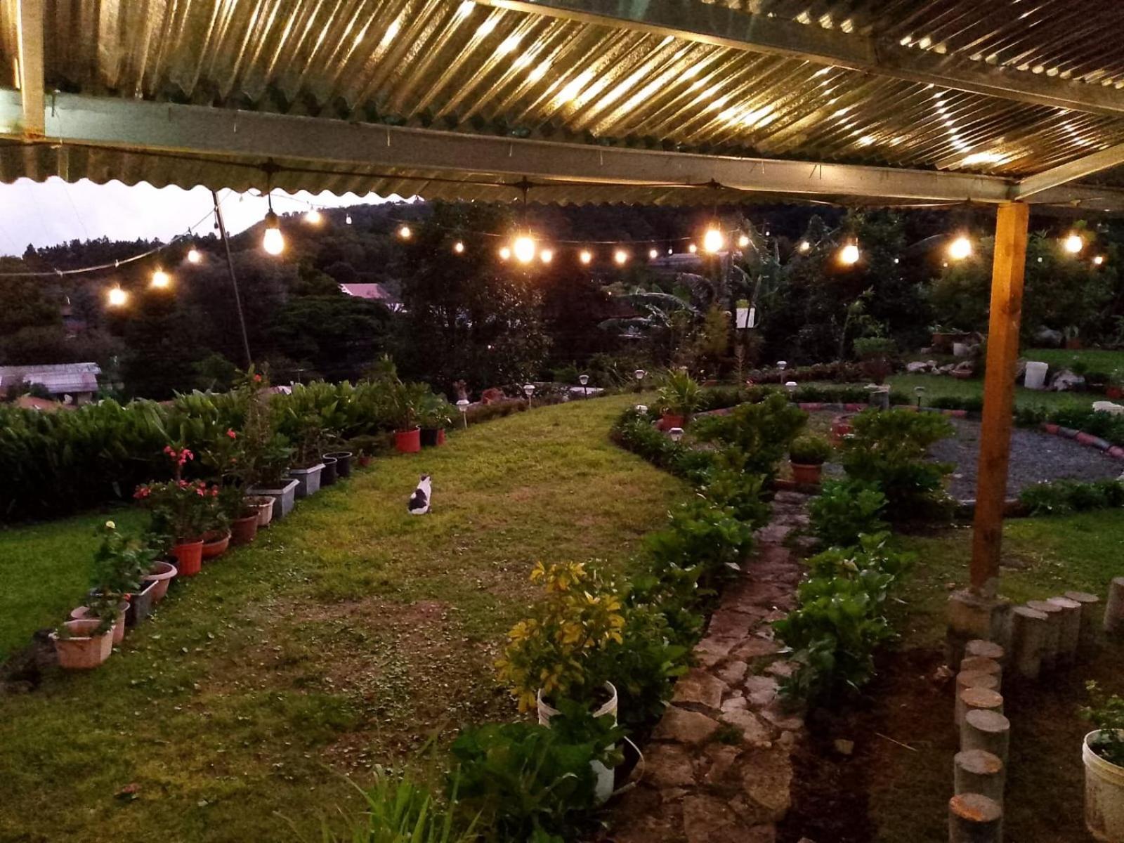 Hostal Vista Boquete Bajo Boquete Екстер'єр фото