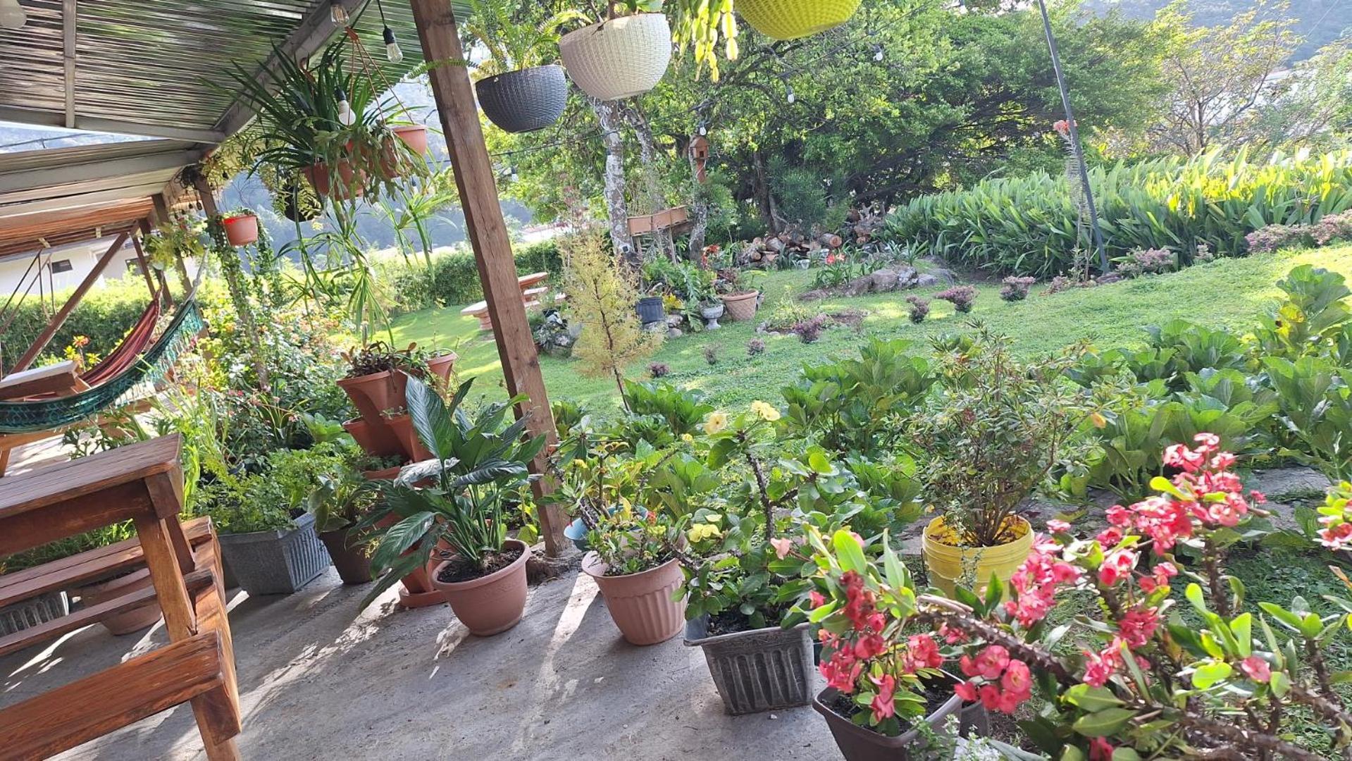Hostal Vista Boquete Bajo Boquete Екстер'єр фото