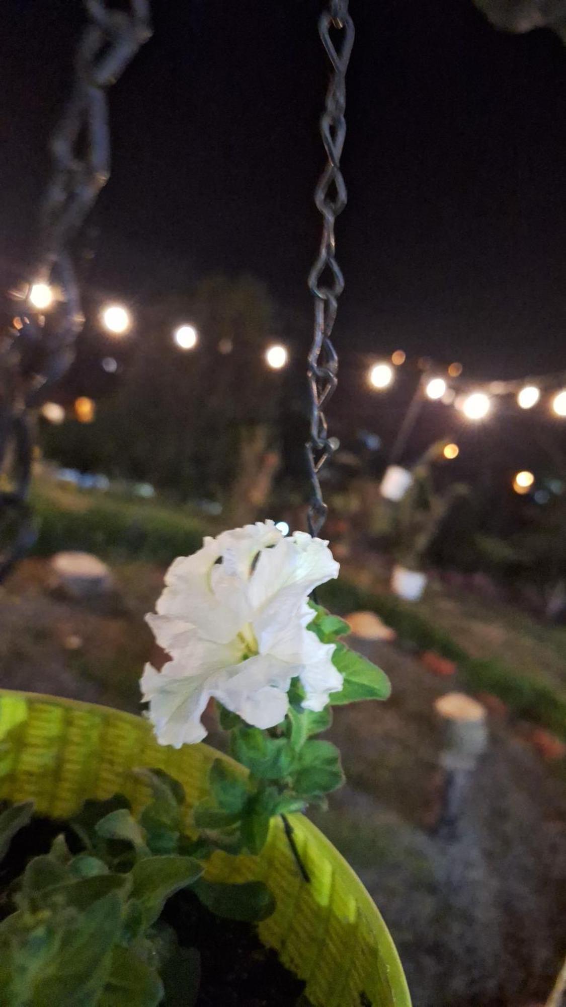 Hostal Vista Boquete Bajo Boquete Екстер'єр фото