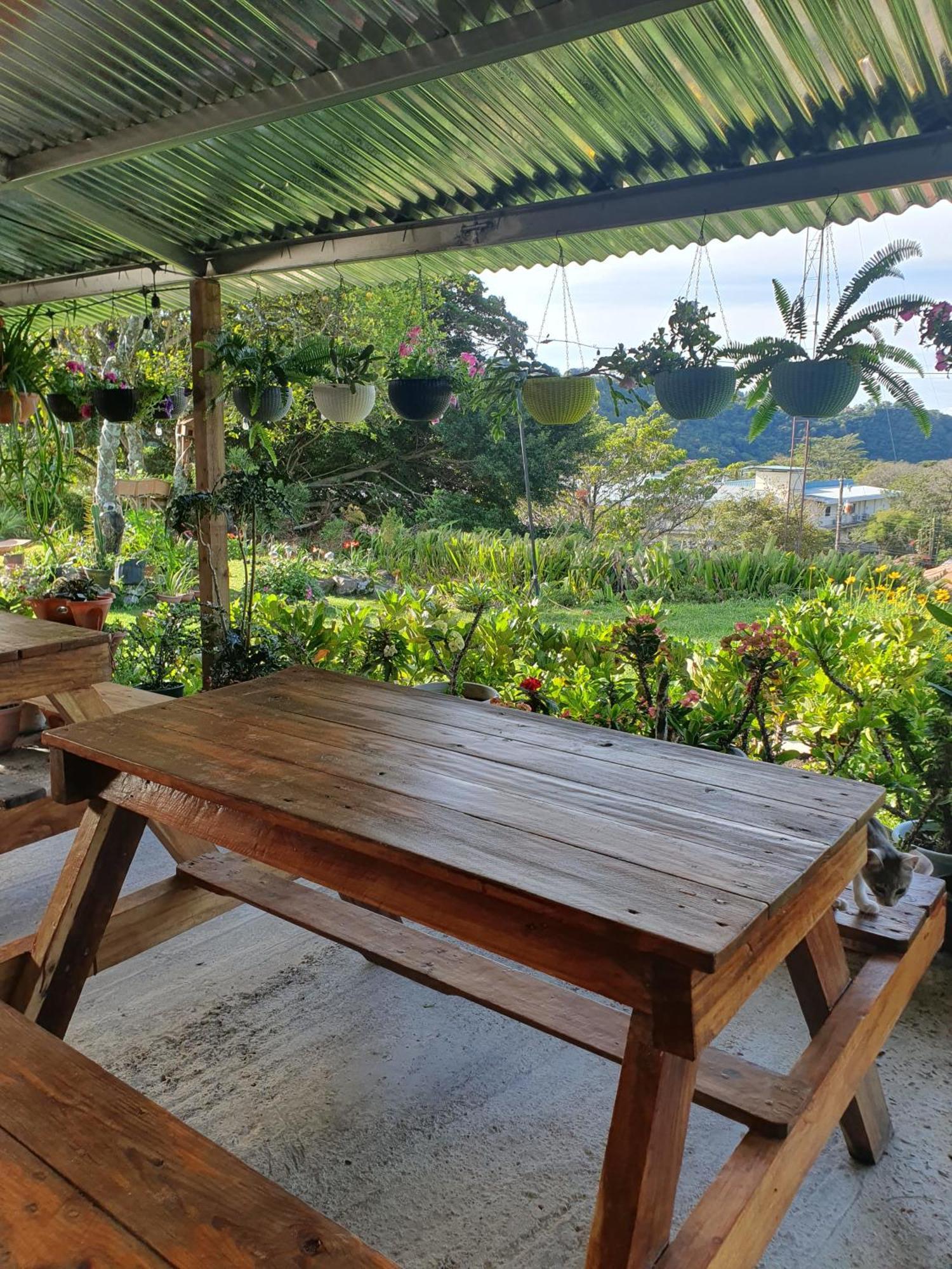 Hostal Vista Boquete Bajo Boquete Екстер'єр фото