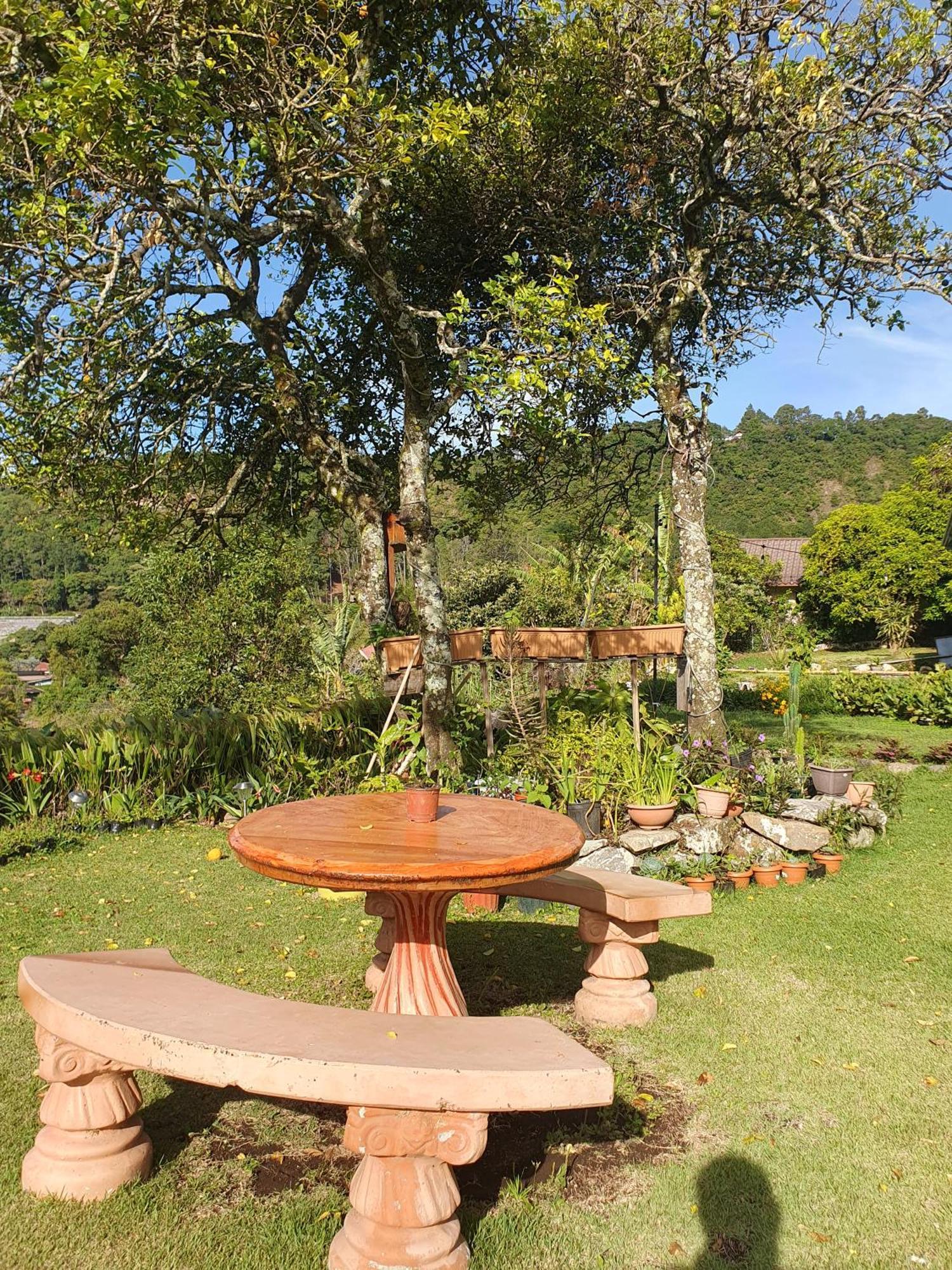 Hostal Vista Boquete Bajo Boquete Екстер'єр фото