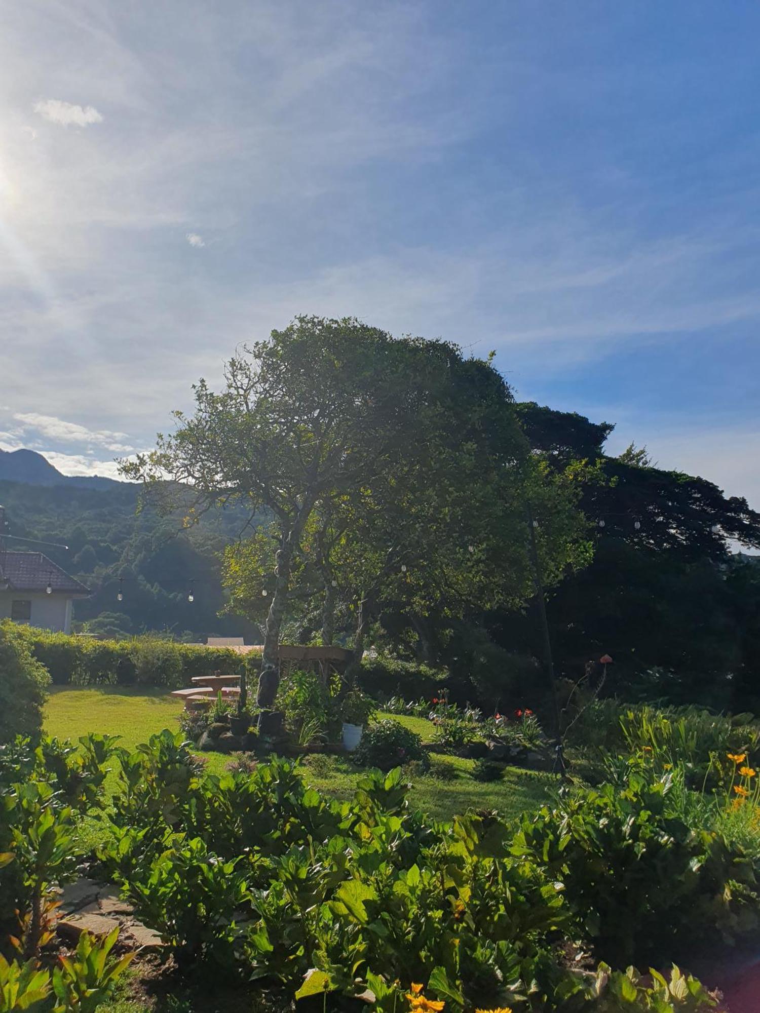 Hostal Vista Boquete Bajo Boquete Екстер'єр фото